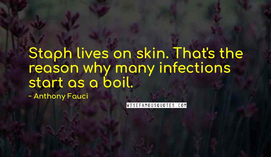 Anthony Fauci Quotes: Staph lives on skin. That's the reason why many infections start as a boil.