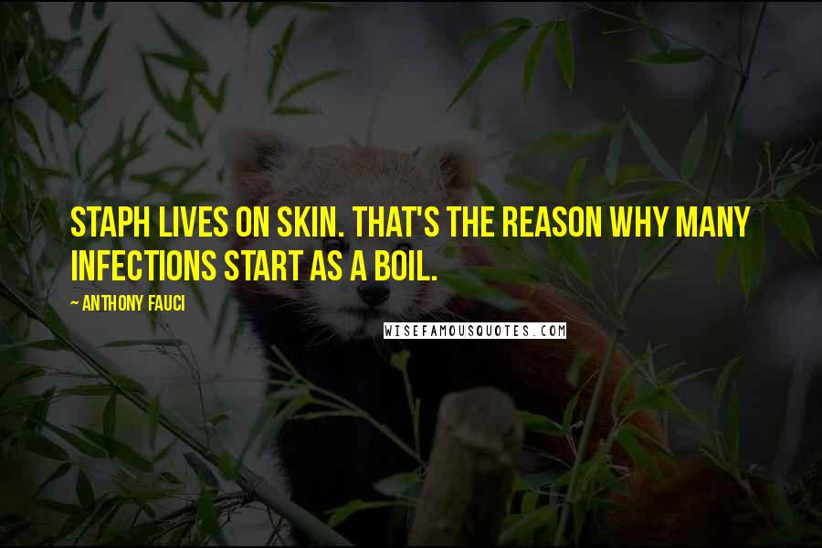 Anthony Fauci Quotes: Staph lives on skin. That's the reason why many infections start as a boil.
