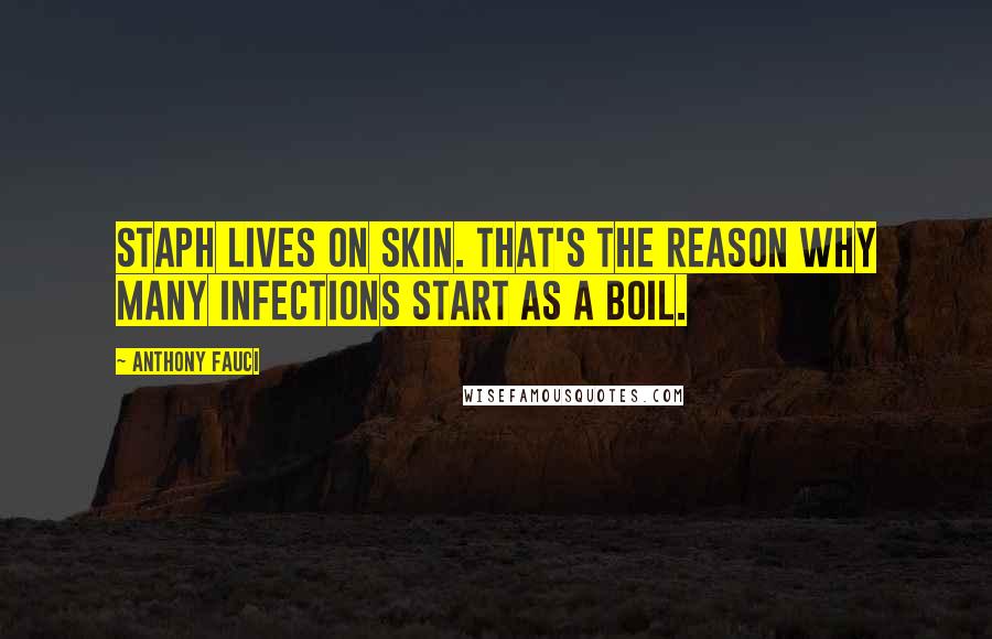 Anthony Fauci Quotes: Staph lives on skin. That's the reason why many infections start as a boil.