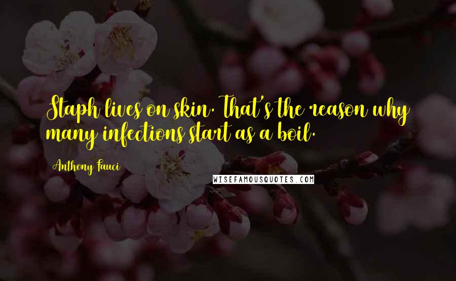 Anthony Fauci Quotes: Staph lives on skin. That's the reason why many infections start as a boil.