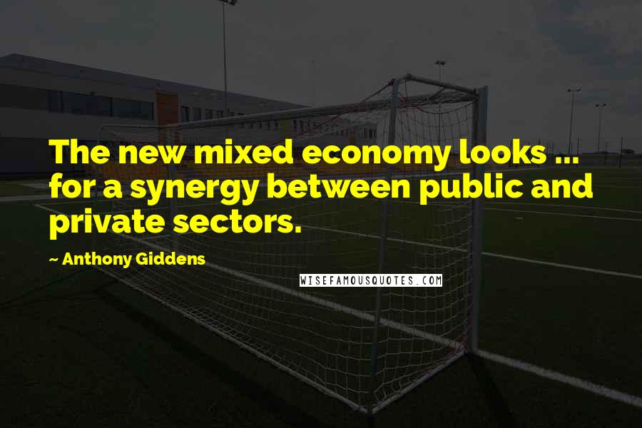 Anthony Giddens Quotes: The new mixed economy looks ... for a synergy between public and private sectors.