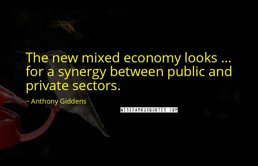 Anthony Giddens Quotes: The new mixed economy looks ... for a synergy between public and private sectors.