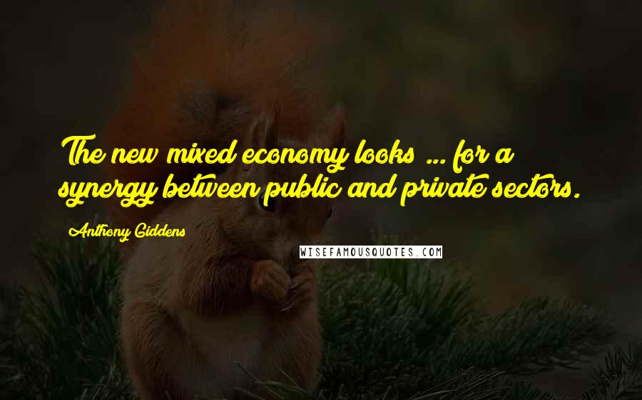 Anthony Giddens Quotes: The new mixed economy looks ... for a synergy between public and private sectors.