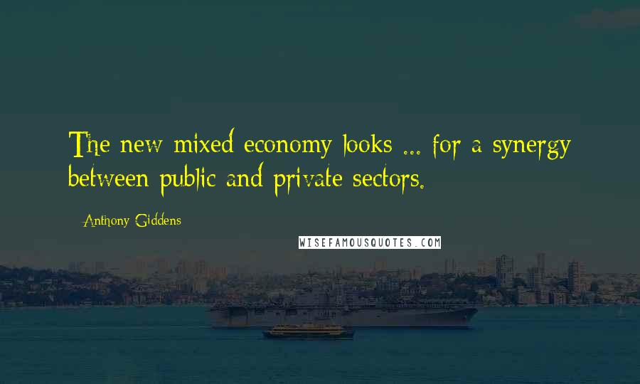 Anthony Giddens Quotes: The new mixed economy looks ... for a synergy between public and private sectors.