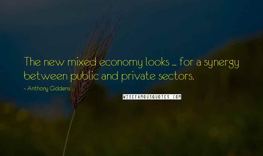 Anthony Giddens Quotes: The new mixed economy looks ... for a synergy between public and private sectors.