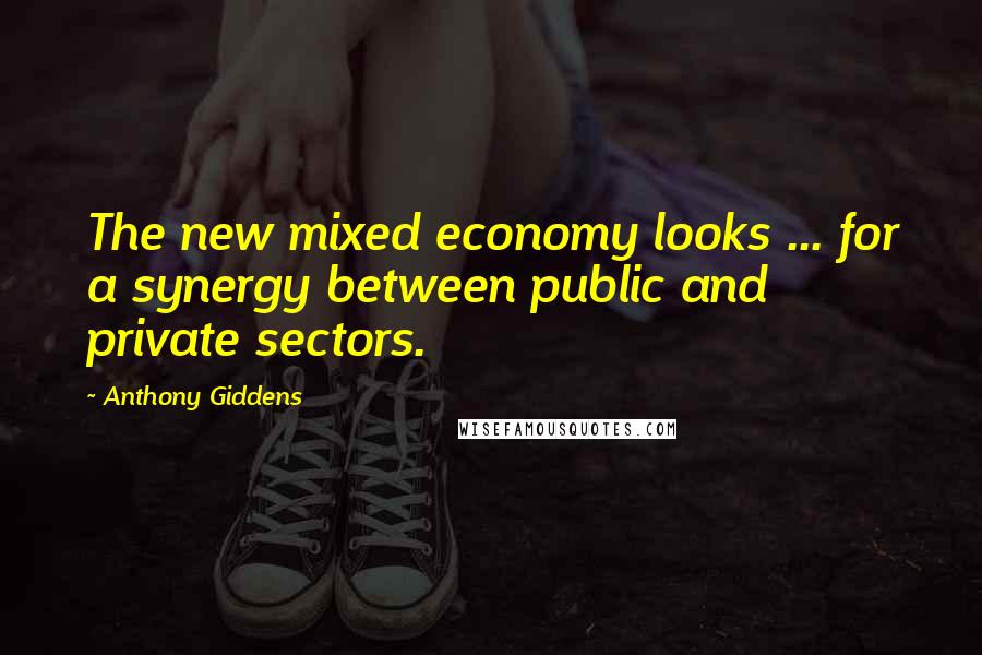 Anthony Giddens Quotes: The new mixed economy looks ... for a synergy between public and private sectors.