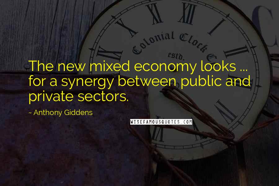 Anthony Giddens Quotes: The new mixed economy looks ... for a synergy between public and private sectors.