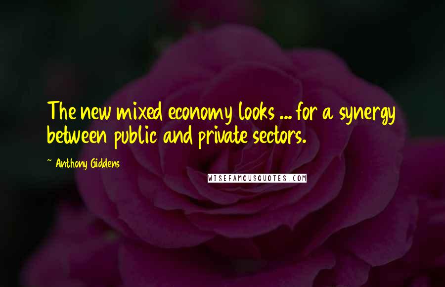 Anthony Giddens Quotes: The new mixed economy looks ... for a synergy between public and private sectors.