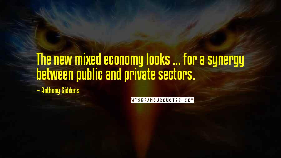 Anthony Giddens Quotes: The new mixed economy looks ... for a synergy between public and private sectors.