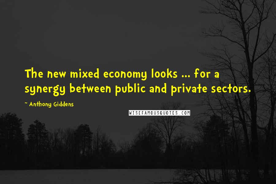 Anthony Giddens Quotes: The new mixed economy looks ... for a synergy between public and private sectors.