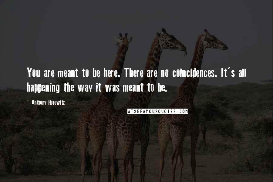 Anthony Horowitz Quotes: You are meant to be here. There are no coincidences. It's all happening the way it was meant to be.