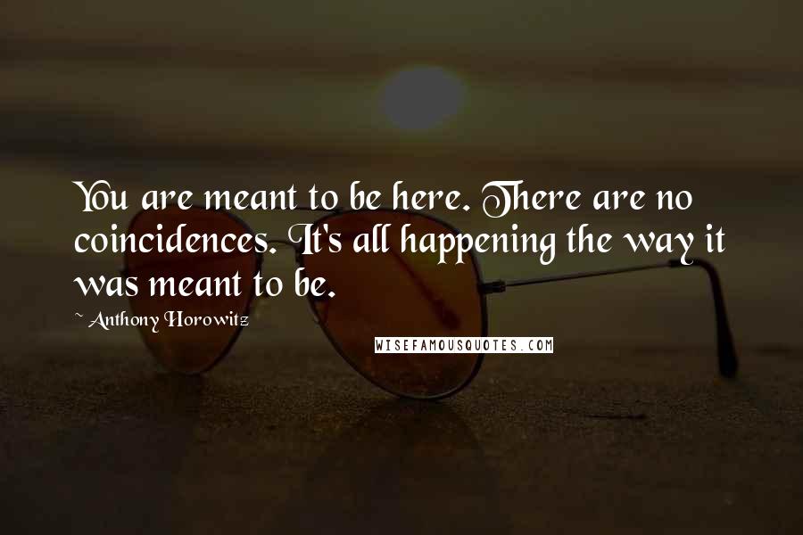 Anthony Horowitz Quotes: You are meant to be here. There are no coincidences. It's all happening the way it was meant to be.