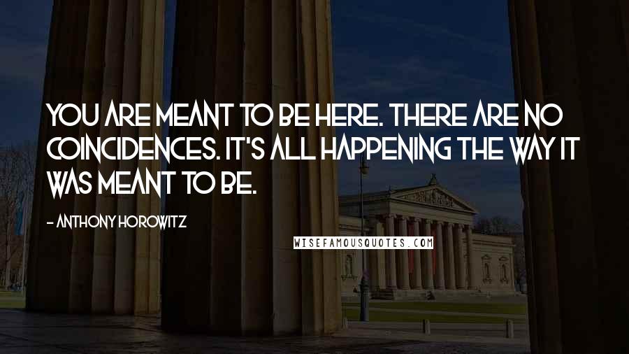 Anthony Horowitz Quotes: You are meant to be here. There are no coincidences. It's all happening the way it was meant to be.