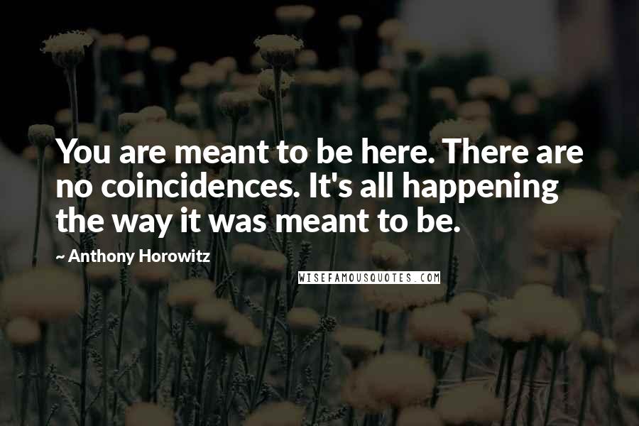 Anthony Horowitz Quotes: You are meant to be here. There are no coincidences. It's all happening the way it was meant to be.