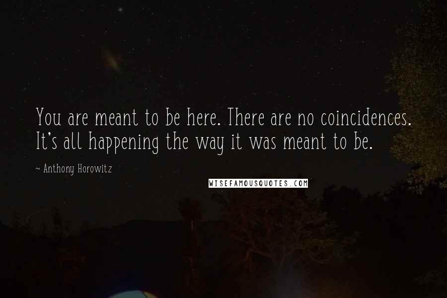 Anthony Horowitz Quotes: You are meant to be here. There are no coincidences. It's all happening the way it was meant to be.