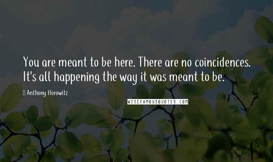 Anthony Horowitz Quotes: You are meant to be here. There are no coincidences. It's all happening the way it was meant to be.
