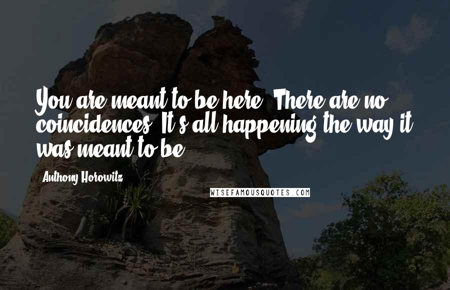 Anthony Horowitz Quotes: You are meant to be here. There are no coincidences. It's all happening the way it was meant to be.