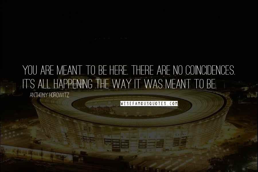 Anthony Horowitz Quotes: You are meant to be here. There are no coincidences. It's all happening the way it was meant to be.