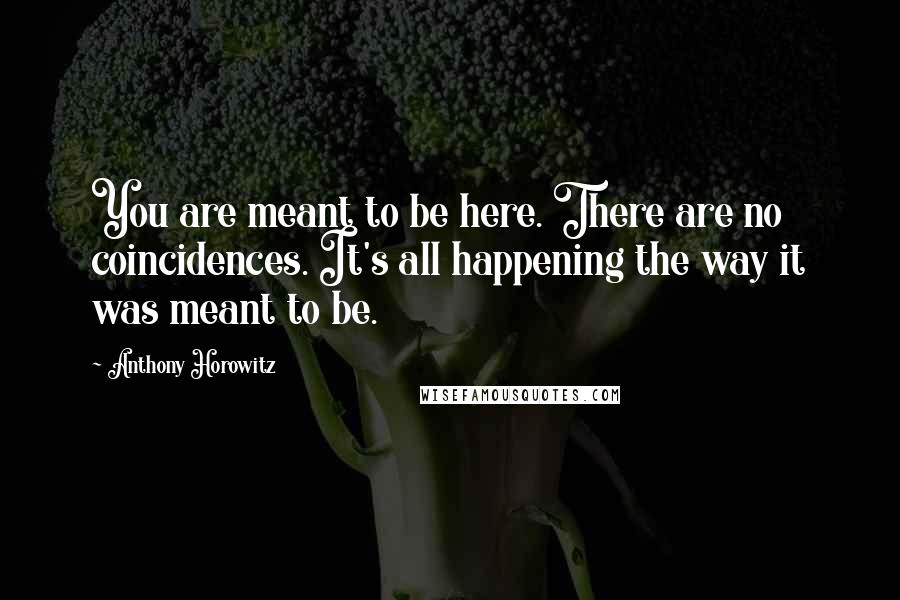 Anthony Horowitz Quotes: You are meant to be here. There are no coincidences. It's all happening the way it was meant to be.