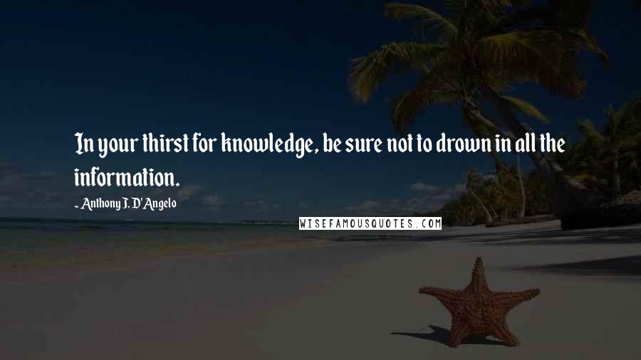 Anthony J. D'Angelo Quotes: In your thirst for knowledge, be sure not to drown in all the information.