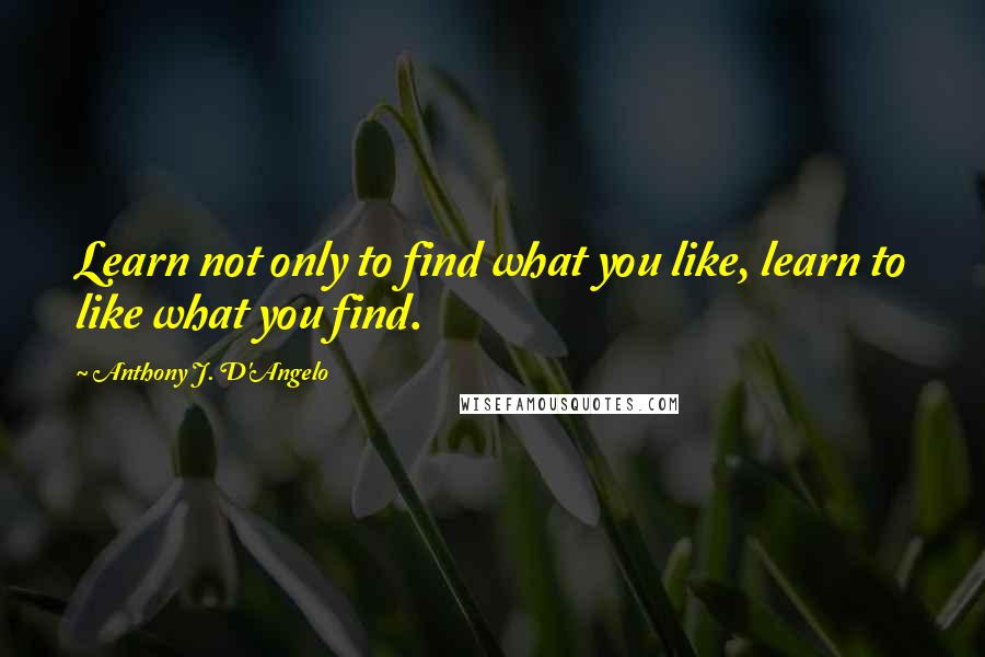 Anthony J. D'Angelo Quotes: Learn not only to find what you like, learn to like what you find.