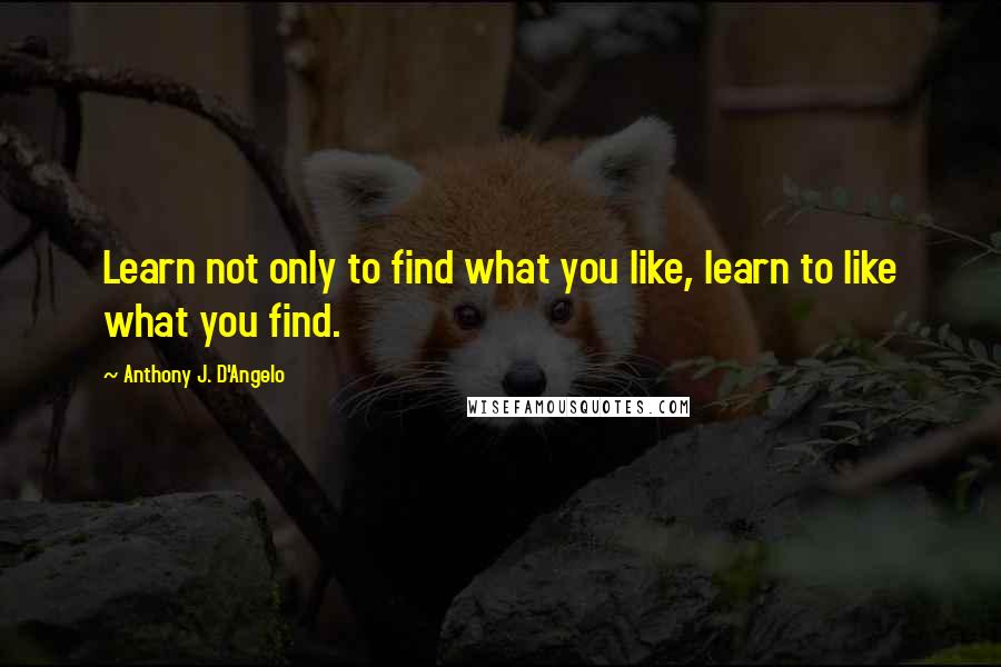 Anthony J. D'Angelo Quotes: Learn not only to find what you like, learn to like what you find.