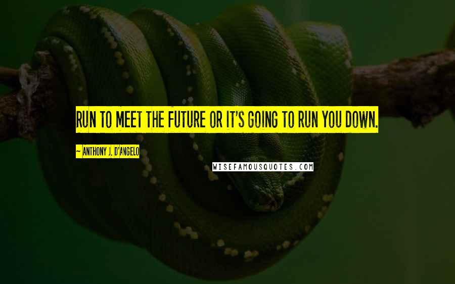 Anthony J. D'Angelo Quotes: Run to meet the future or it's going to run you down.