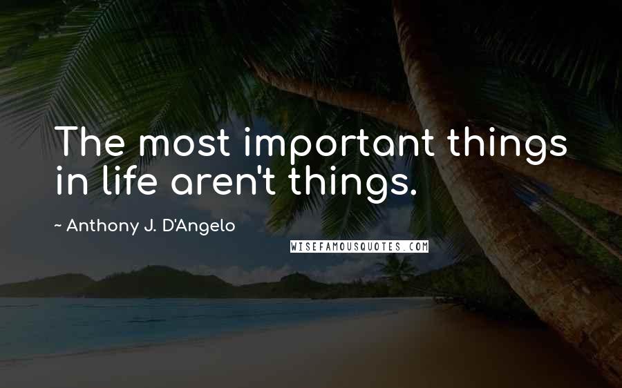 Anthony J. D'Angelo Quotes: The most important things in life aren't things.