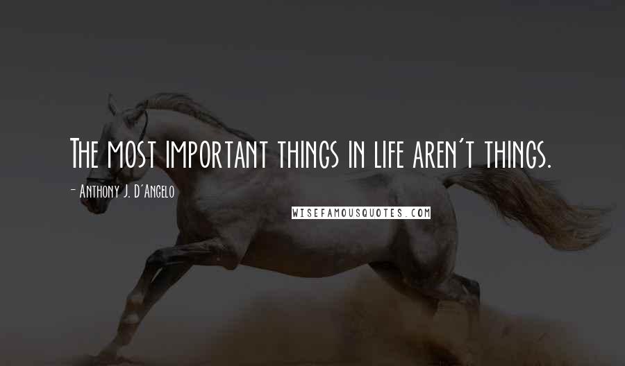 Anthony J. D'Angelo Quotes: The most important things in life aren't things.