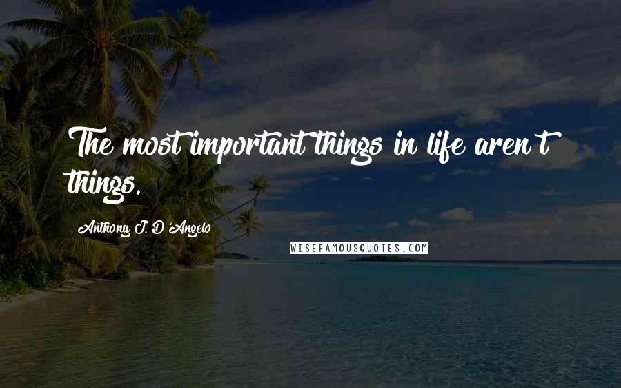 Anthony J. D'Angelo Quotes: The most important things in life aren't things.