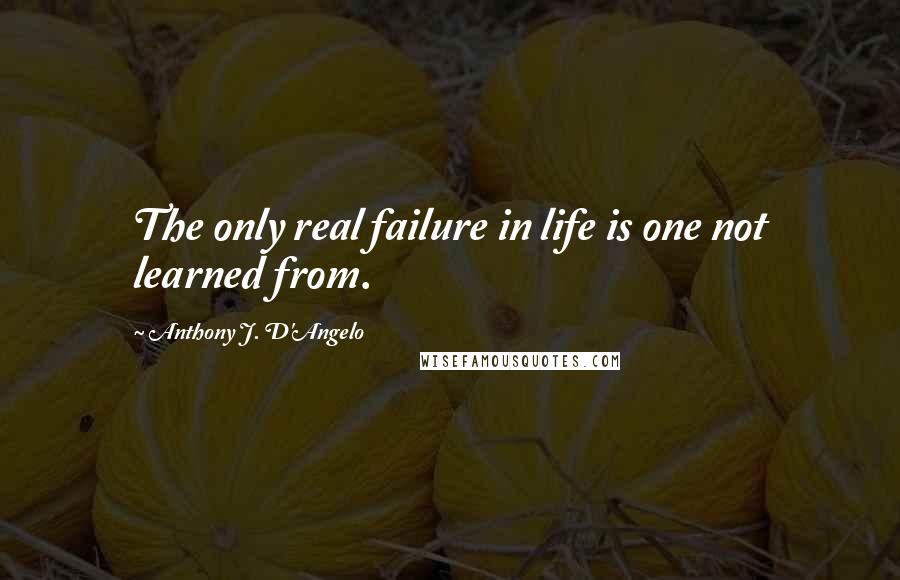 Anthony J. D'Angelo Quotes: The only real failure in life is one not learned from.