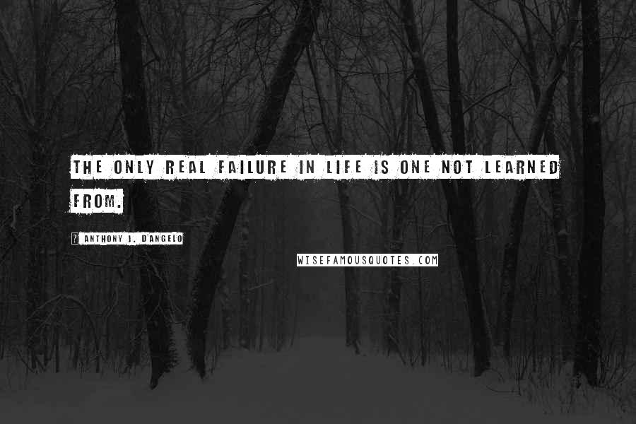 Anthony J. D'Angelo Quotes: The only real failure in life is one not learned from.