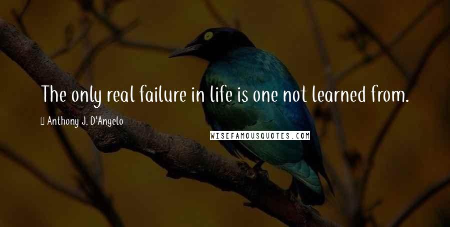 Anthony J. D'Angelo Quotes: The only real failure in life is one not learned from.