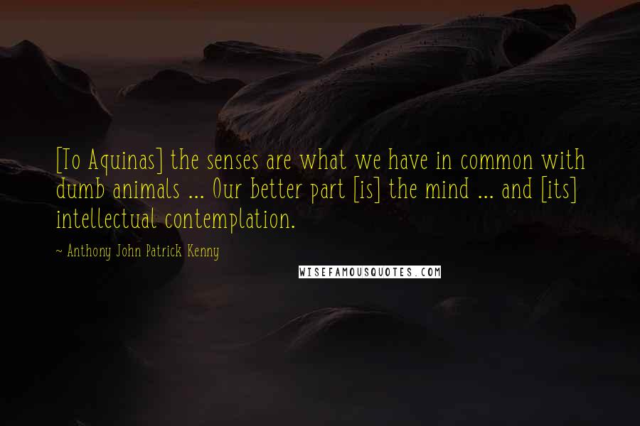 Anthony John Patrick Kenny Quotes: [To Aquinas] the senses are what we have in common with dumb animals ... Our better part [is] the mind ... and [its] intellectual contemplation.