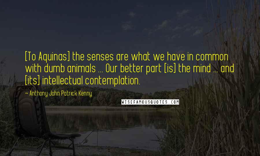 Anthony John Patrick Kenny Quotes: [To Aquinas] the senses are what we have in common with dumb animals ... Our better part [is] the mind ... and [its] intellectual contemplation.