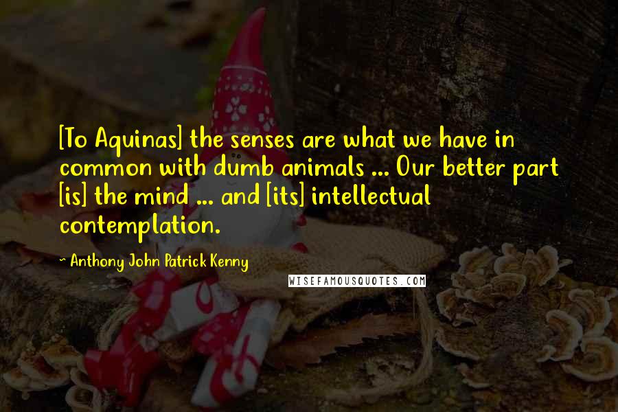 Anthony John Patrick Kenny Quotes: [To Aquinas] the senses are what we have in common with dumb animals ... Our better part [is] the mind ... and [its] intellectual contemplation.