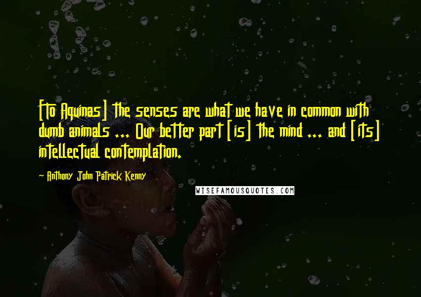 Anthony John Patrick Kenny Quotes: [To Aquinas] the senses are what we have in common with dumb animals ... Our better part [is] the mind ... and [its] intellectual contemplation.