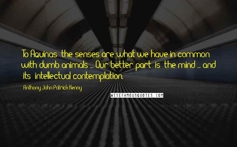 Anthony John Patrick Kenny Quotes: [To Aquinas] the senses are what we have in common with dumb animals ... Our better part [is] the mind ... and [its] intellectual contemplation.