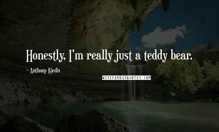 Anthony Kiedis Quotes: Honestly, I'm really just a teddy bear.