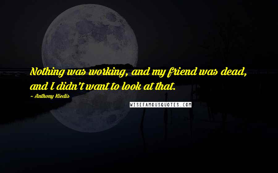 Anthony Kiedis Quotes: Nothing was working, and my friend was dead, and I didn't want to look at that.