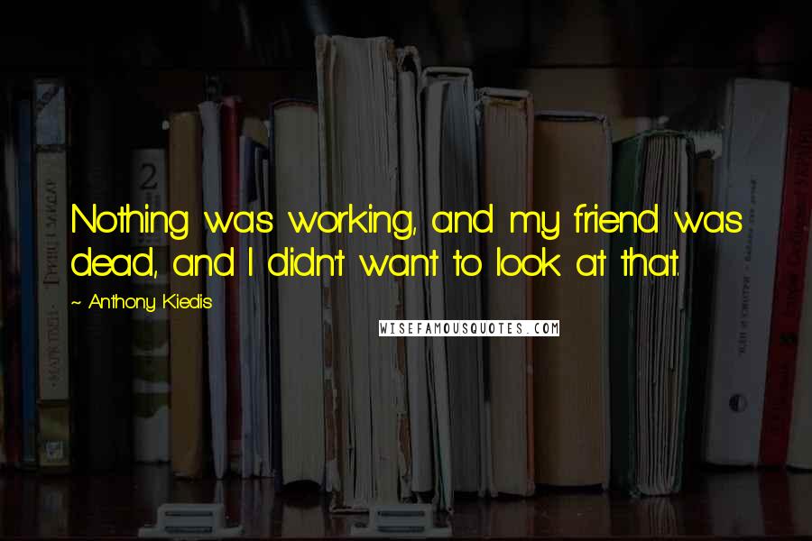 Anthony Kiedis Quotes: Nothing was working, and my friend was dead, and I didn't want to look at that.