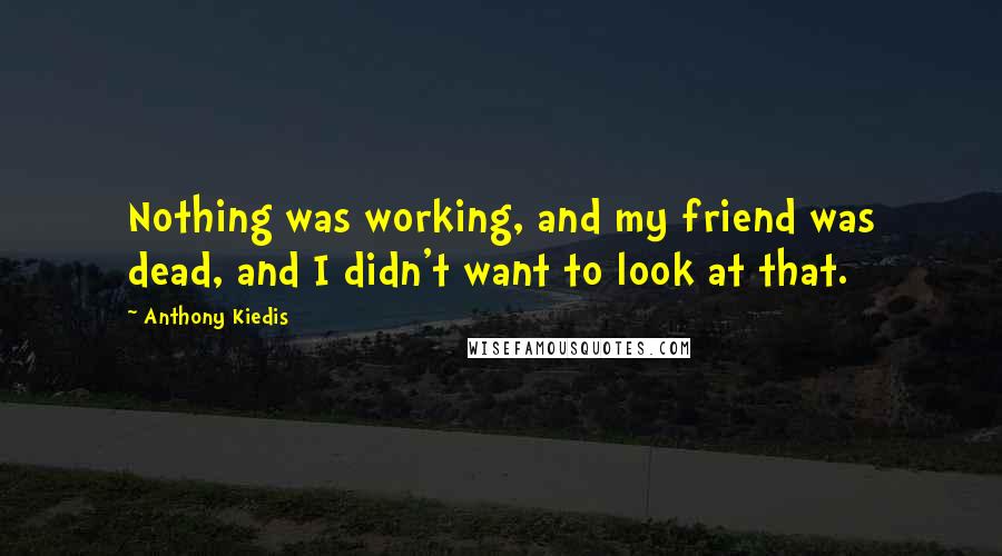 Anthony Kiedis Quotes: Nothing was working, and my friend was dead, and I didn't want to look at that.