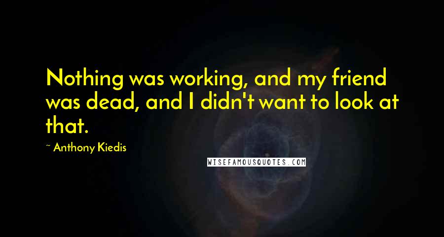 Anthony Kiedis Quotes: Nothing was working, and my friend was dead, and I didn't want to look at that.