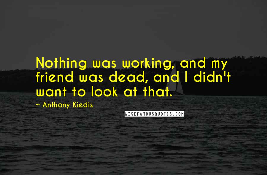 Anthony Kiedis Quotes: Nothing was working, and my friend was dead, and I didn't want to look at that.