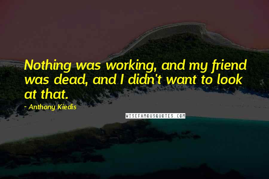 Anthony Kiedis Quotes: Nothing was working, and my friend was dead, and I didn't want to look at that.