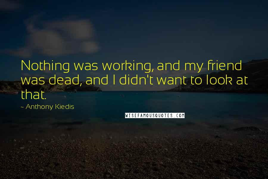 Anthony Kiedis Quotes: Nothing was working, and my friend was dead, and I didn't want to look at that.