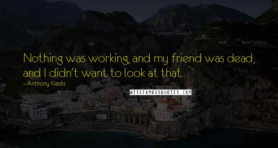 Anthony Kiedis Quotes: Nothing was working, and my friend was dead, and I didn't want to look at that.