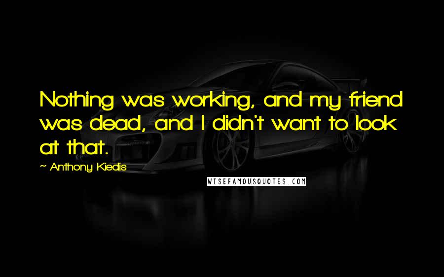 Anthony Kiedis Quotes: Nothing was working, and my friend was dead, and I didn't want to look at that.