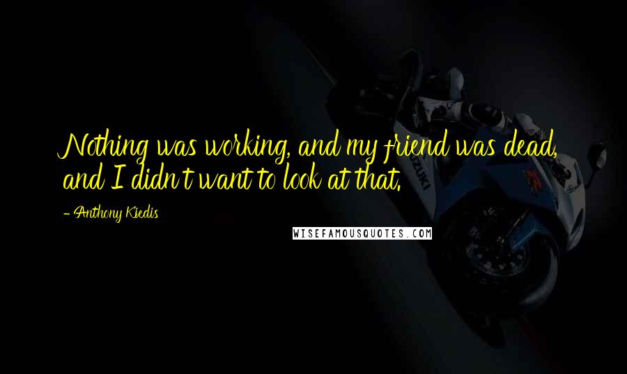 Anthony Kiedis Quotes: Nothing was working, and my friend was dead, and I didn't want to look at that.