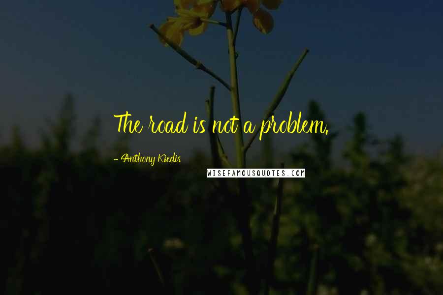 Anthony Kiedis Quotes: The road is not a problem.